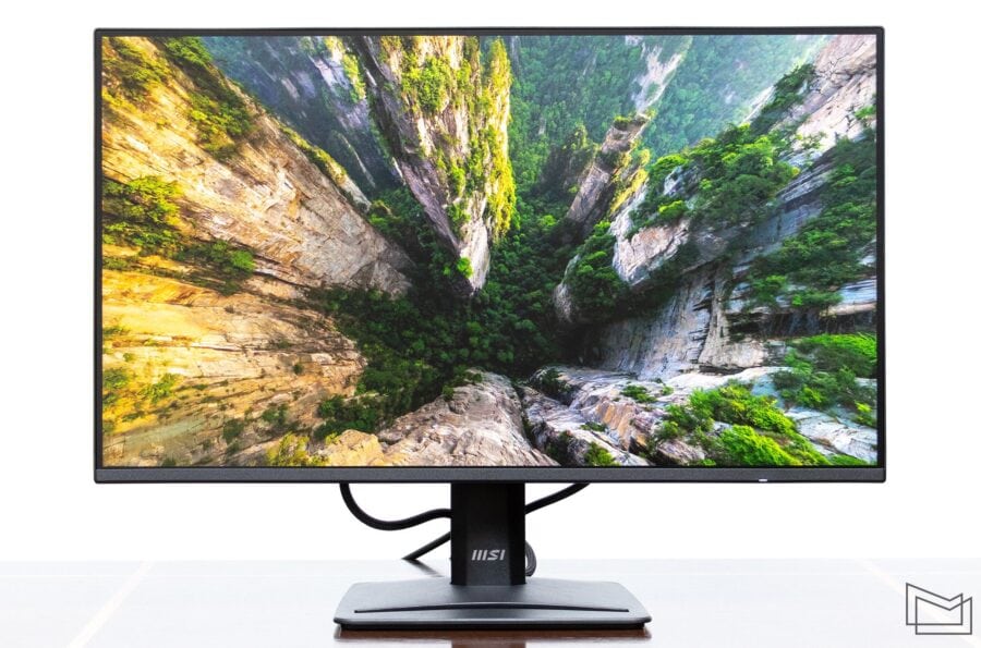 MSI PRO MP252 E2 Monitor: Detailed Review and Specifications