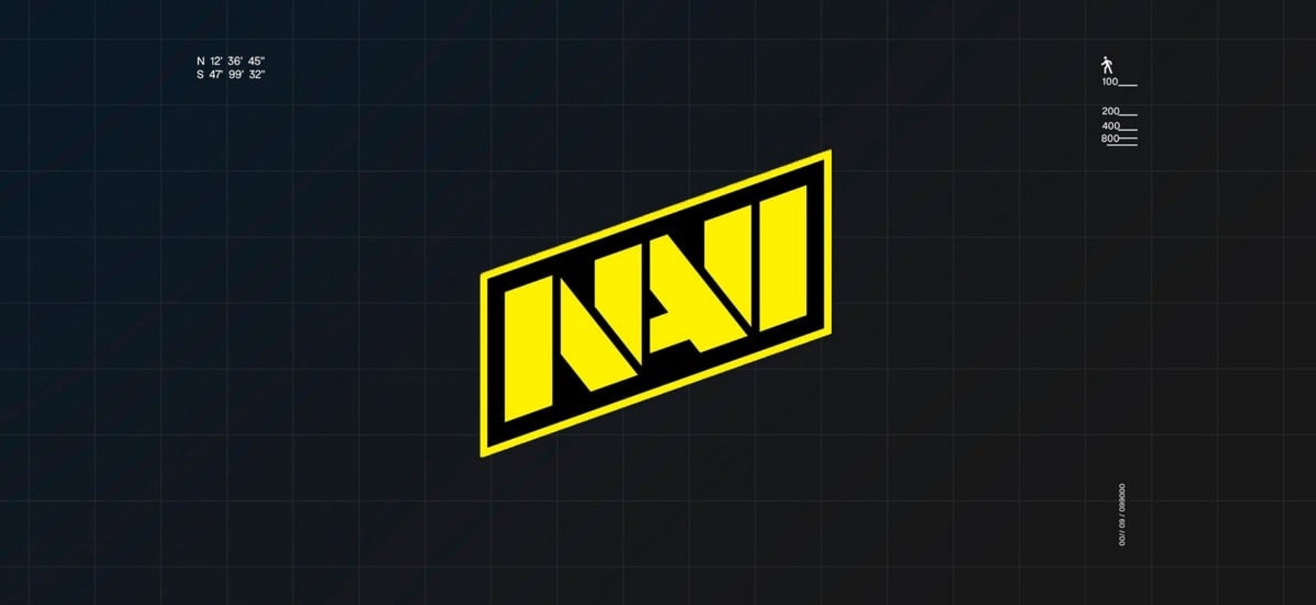 Поточний логотип NAVI