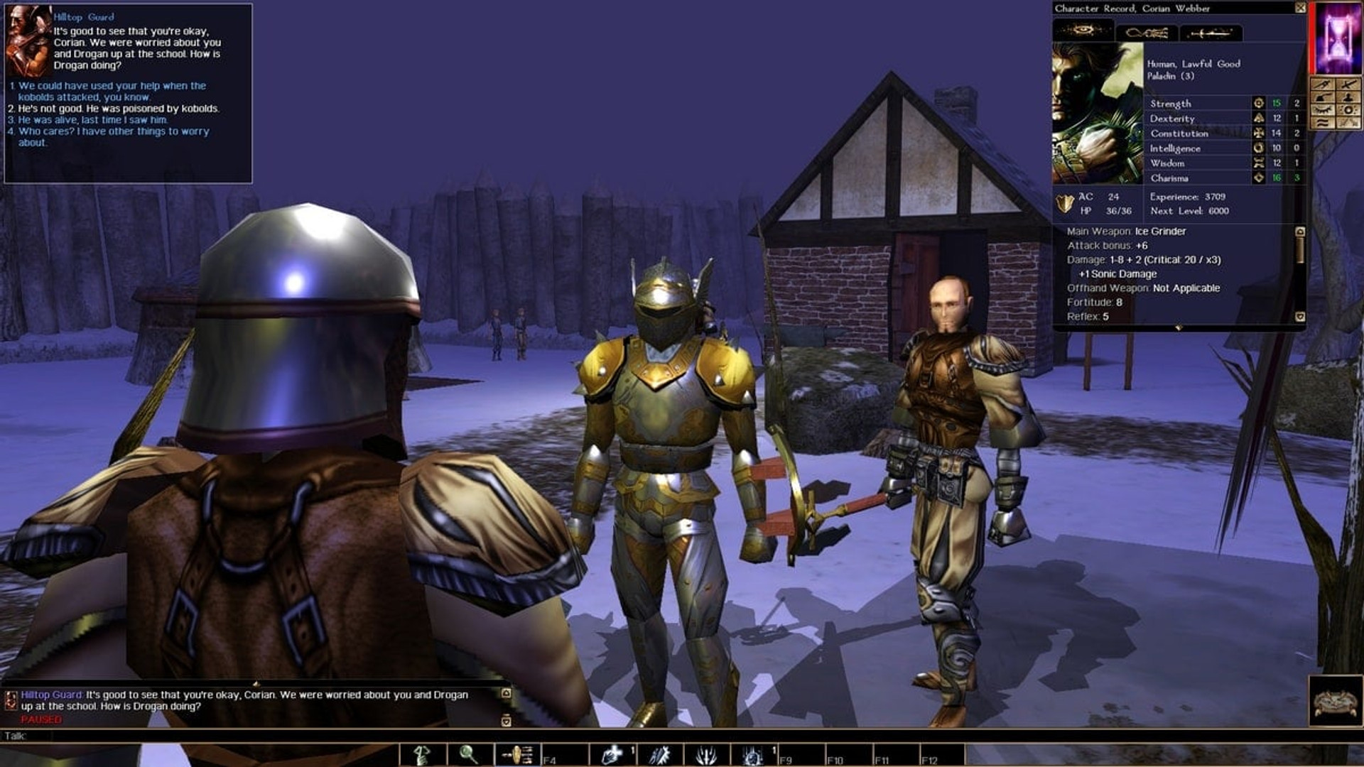 Neverwinter Nights