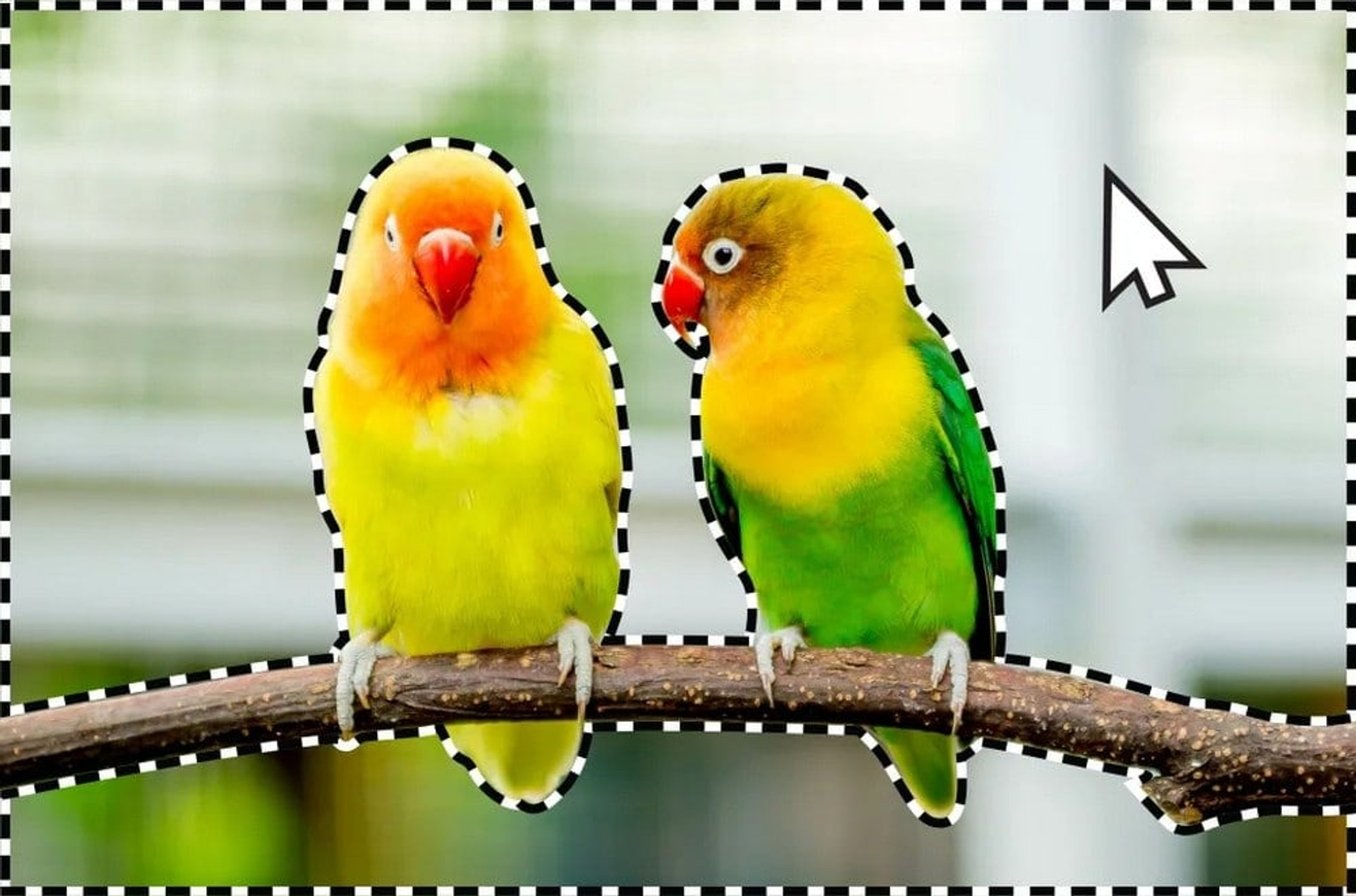 Photoshop