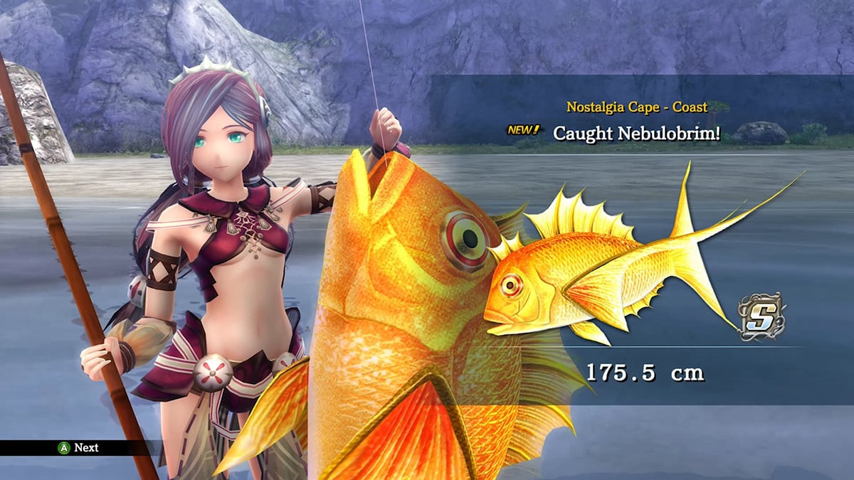 Fishing mini-game in Ys 8.