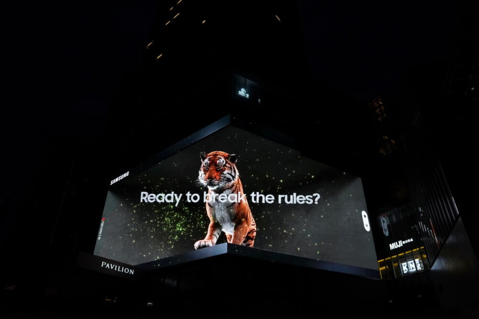 Samsung Tiger in the City