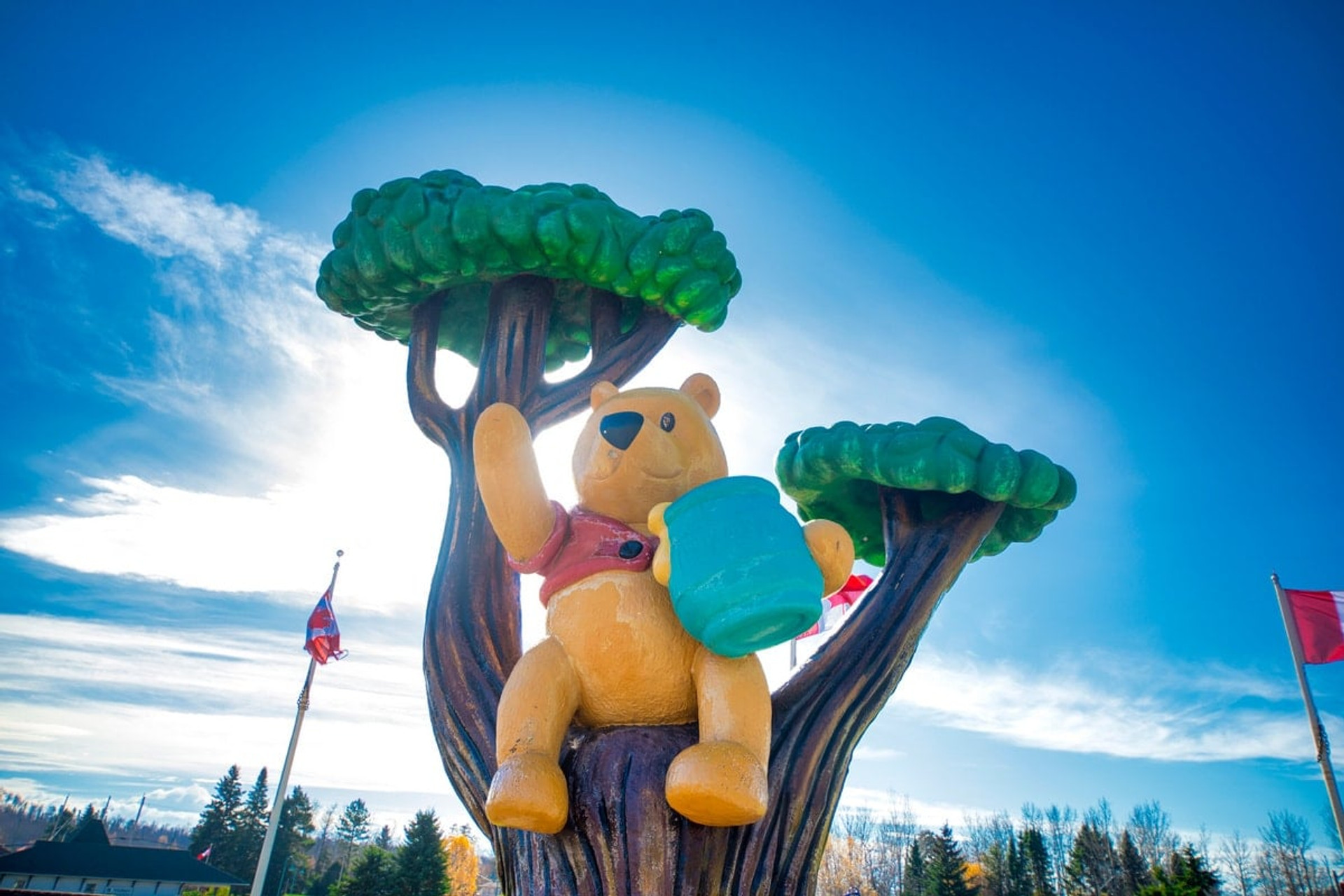 Winnie the Pooh