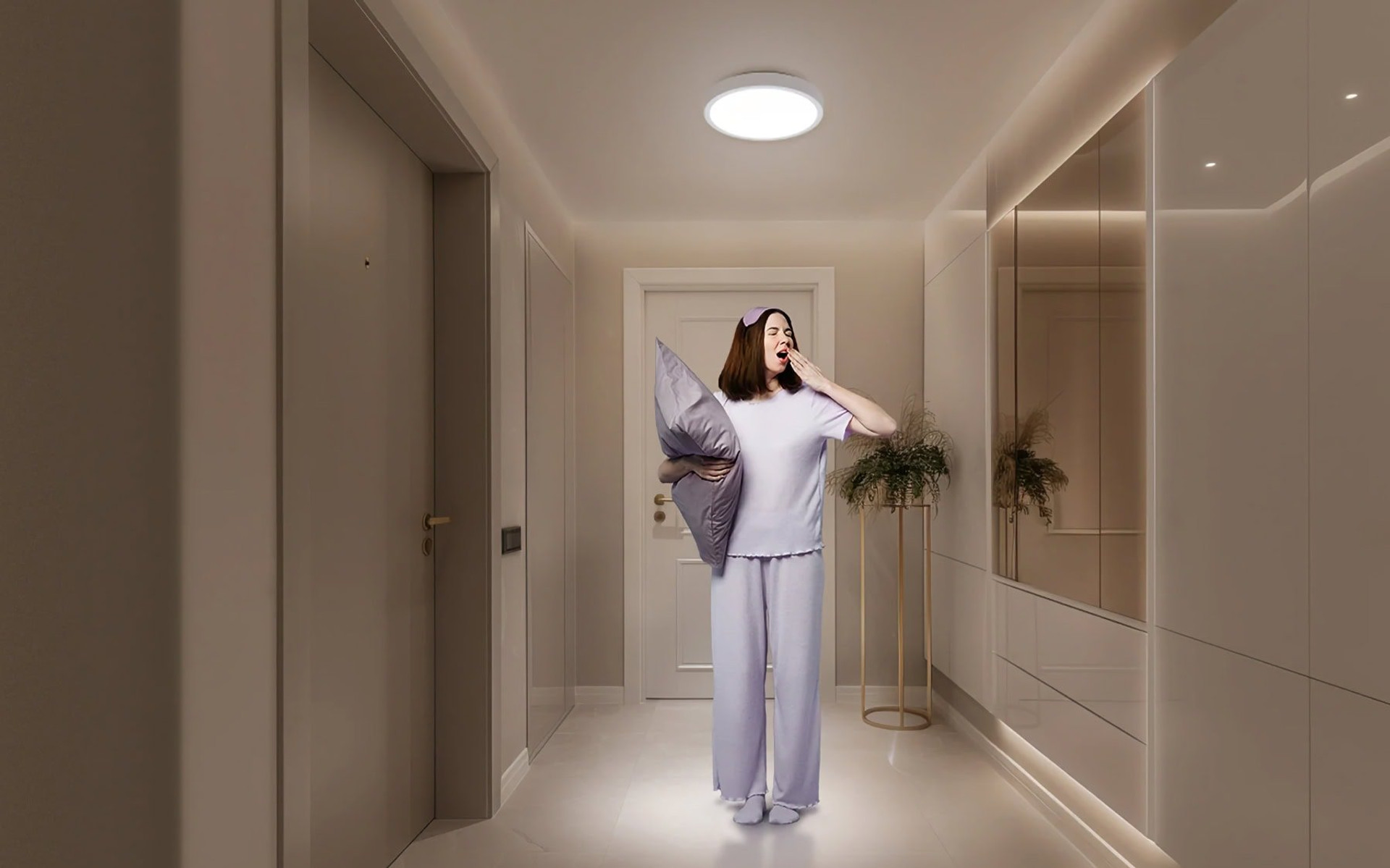 Xiaomi Smart Ceiling Light D20
