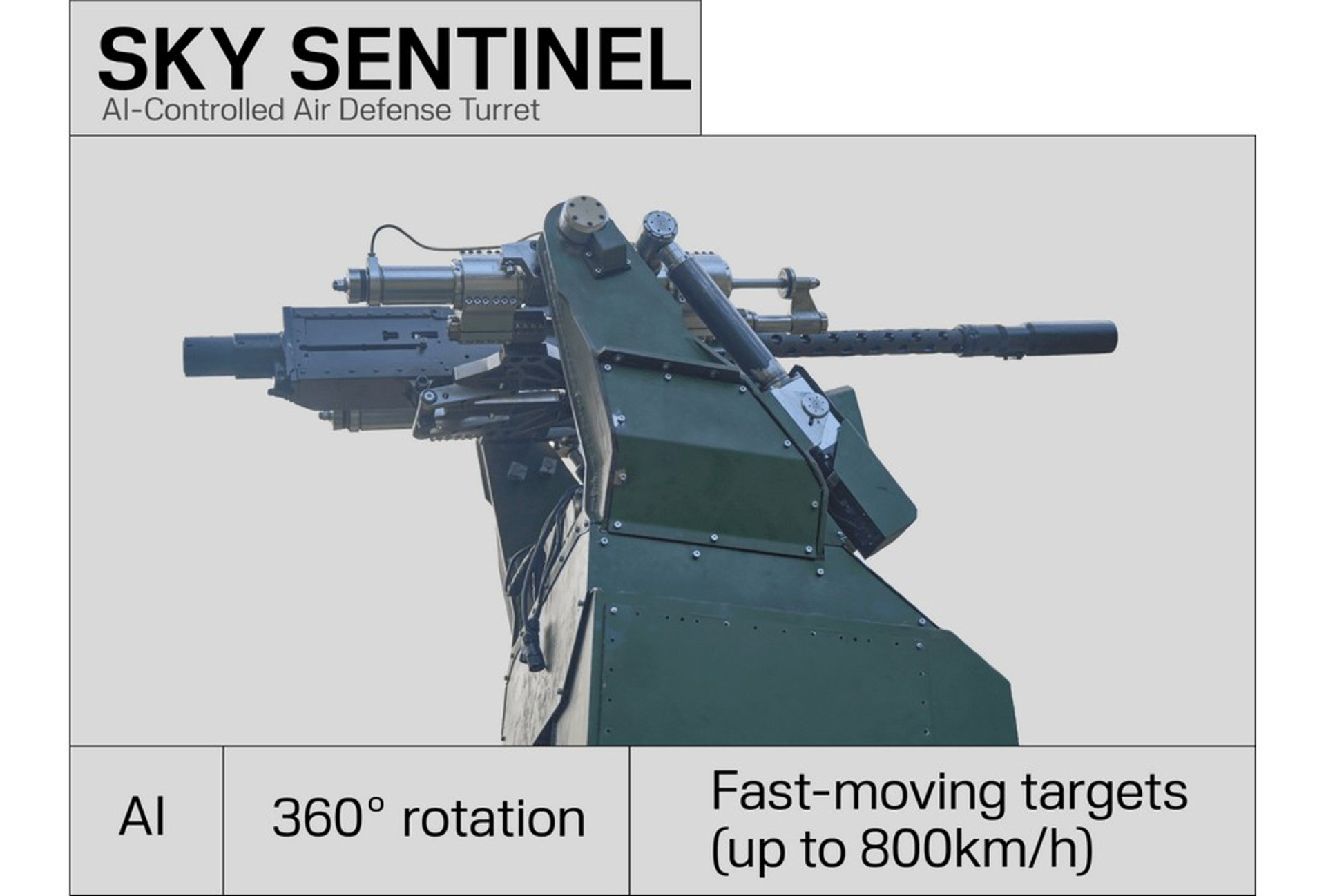 Sky Sentinel