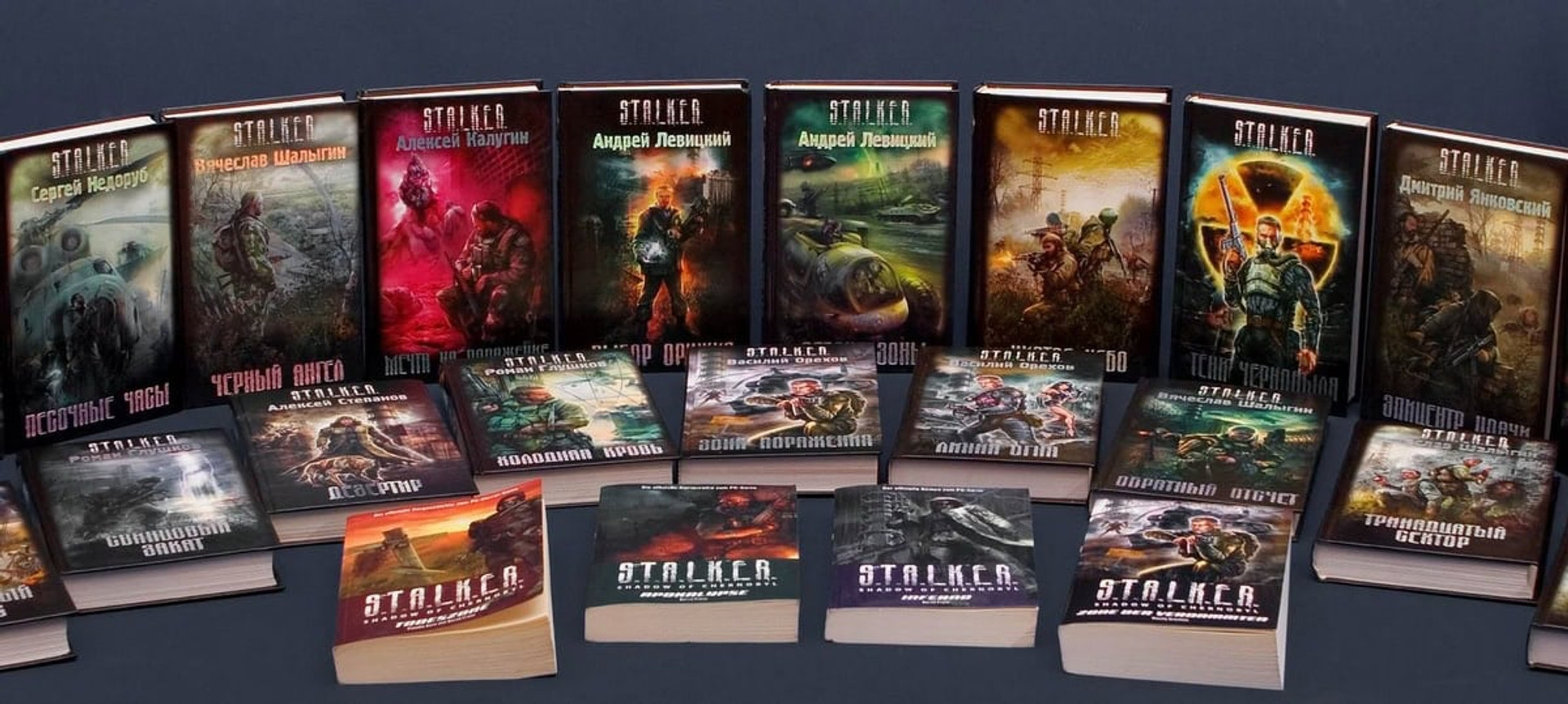 Мала частка книжок серії S.T.A.L.K.E.R.