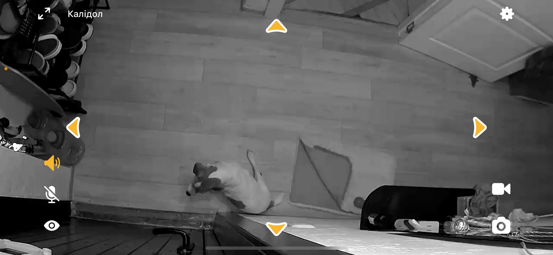 A shot of the Petcube 360 camera at night