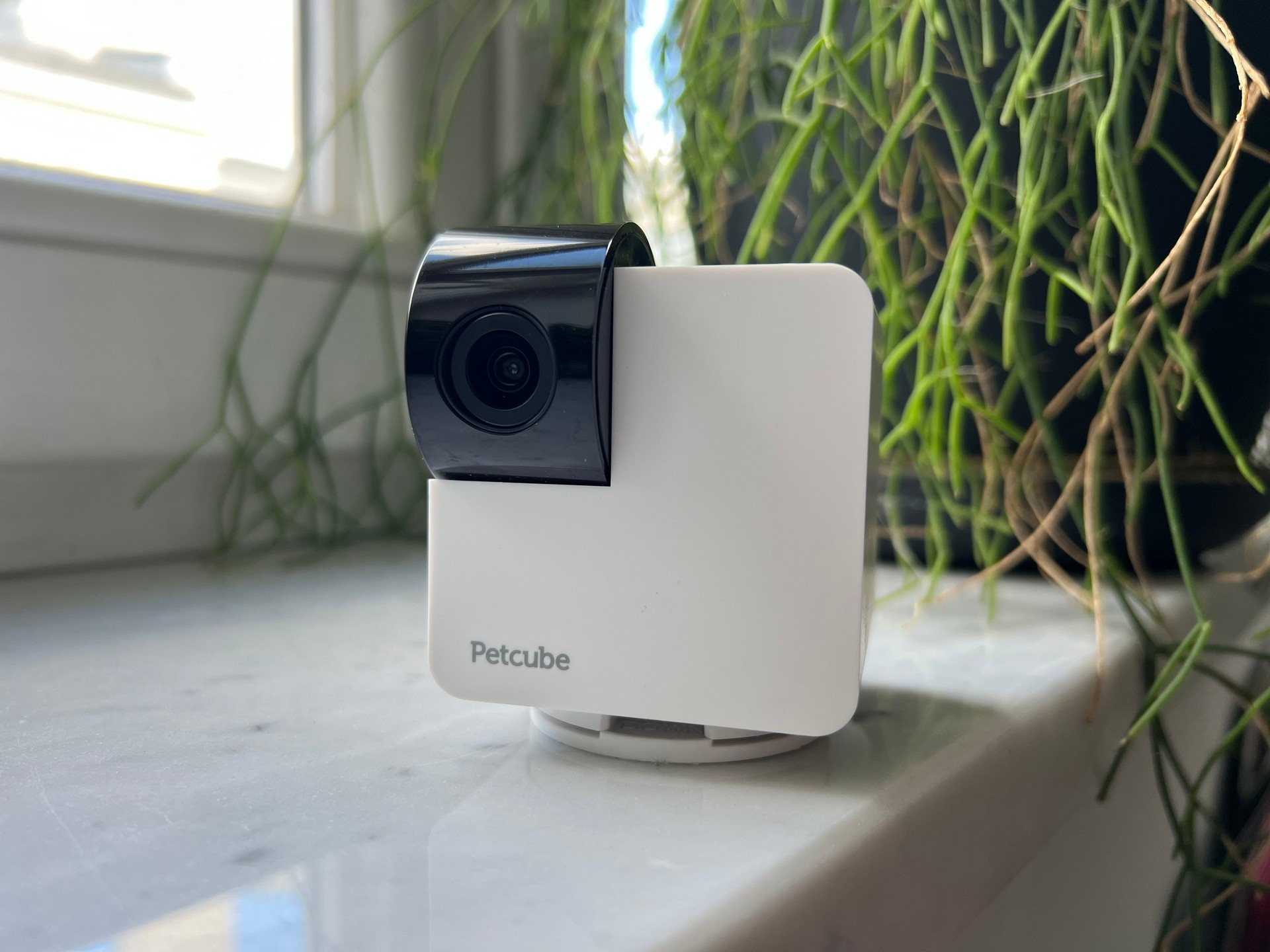 Petcube 360