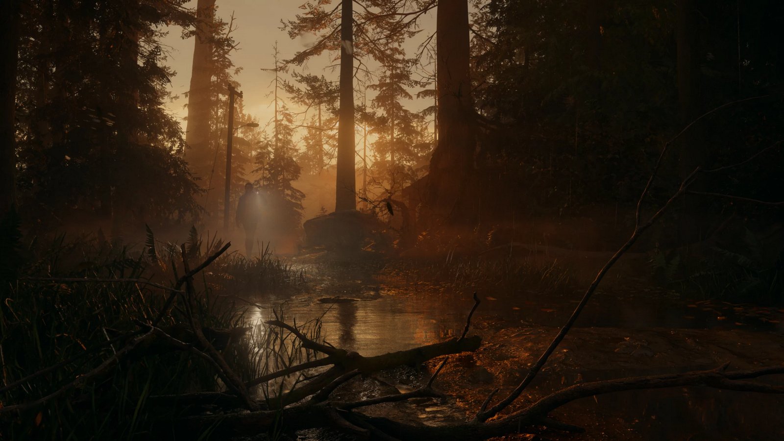 Alan_Wake_II_07