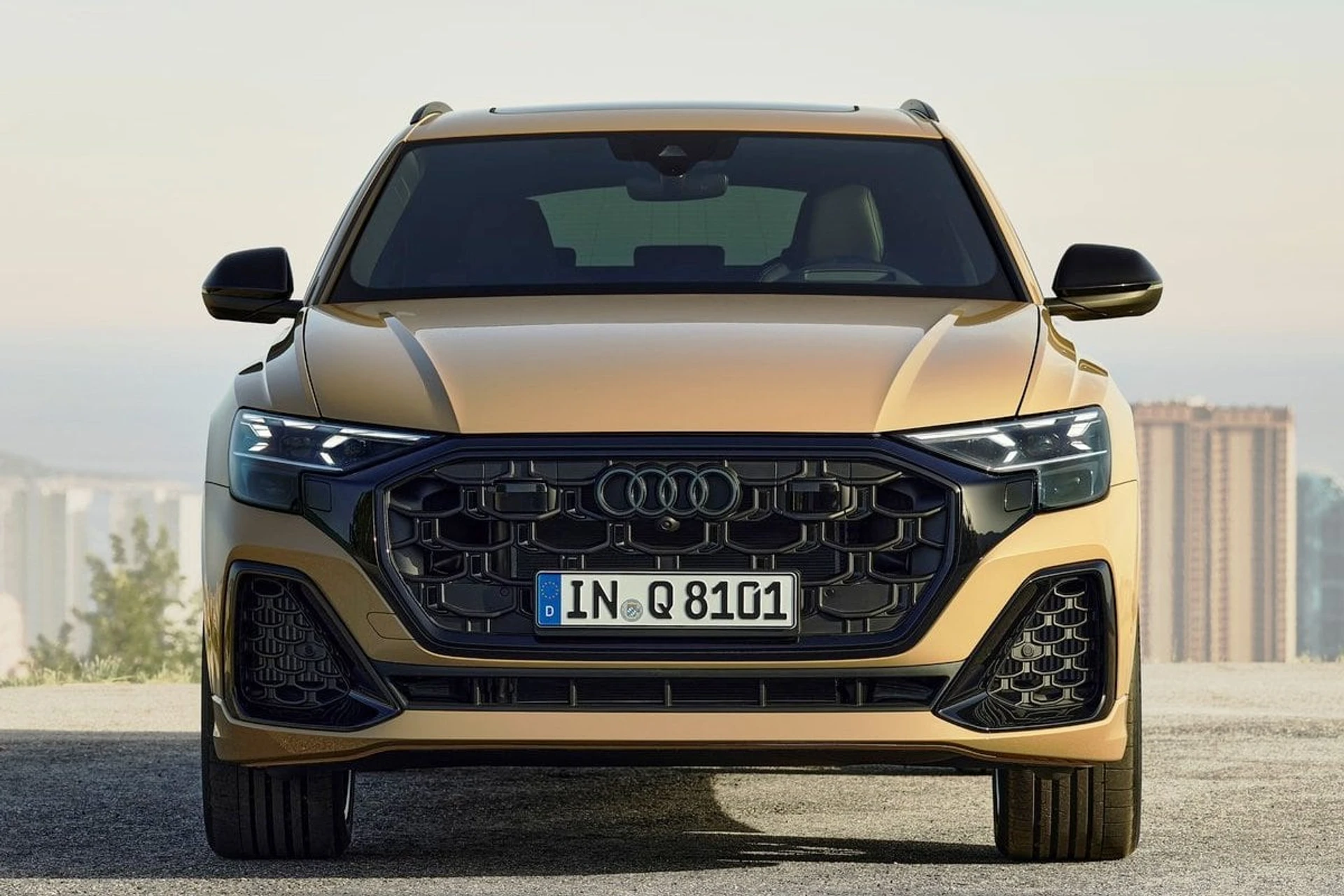 Audi Q8 front