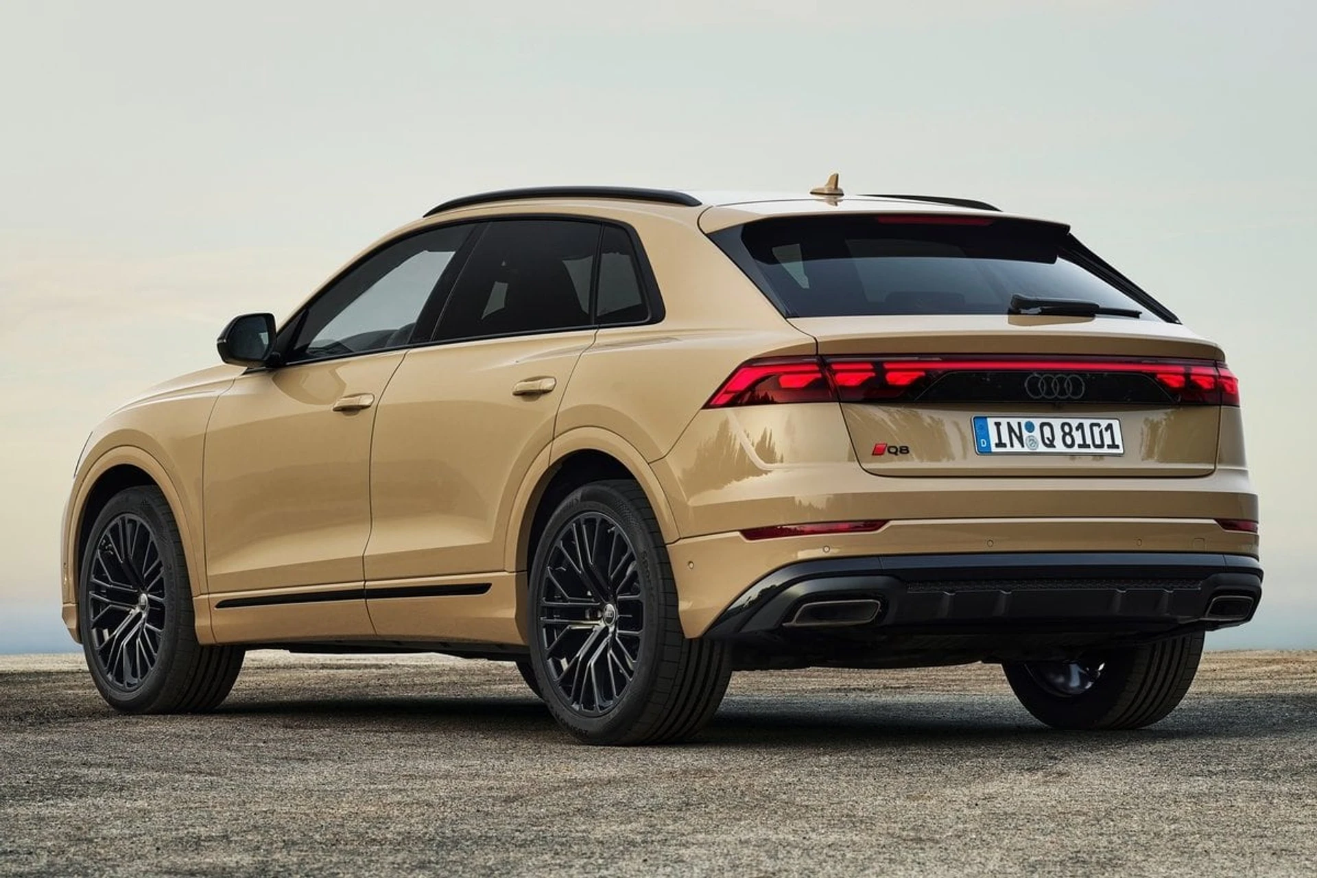 Audi Q8 back