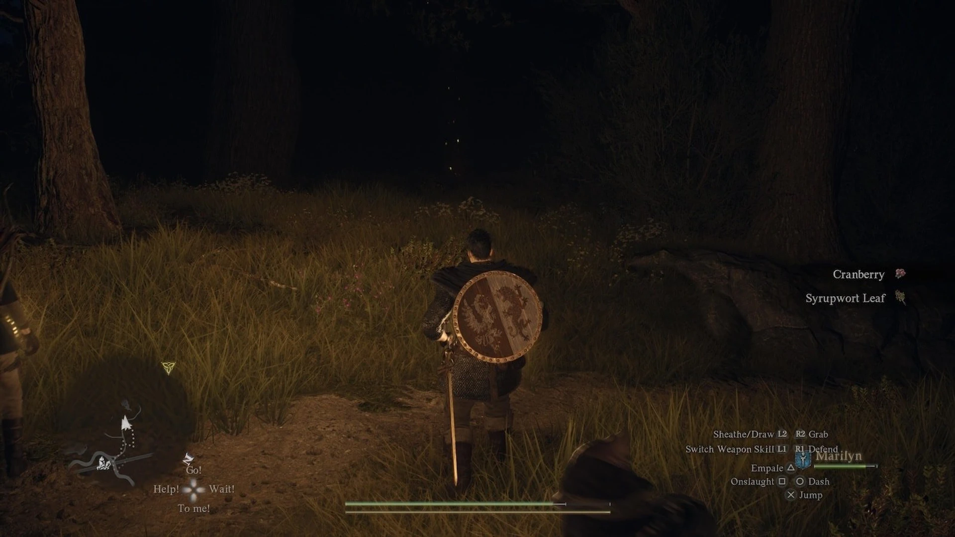 Dragons_Dogma_2_22