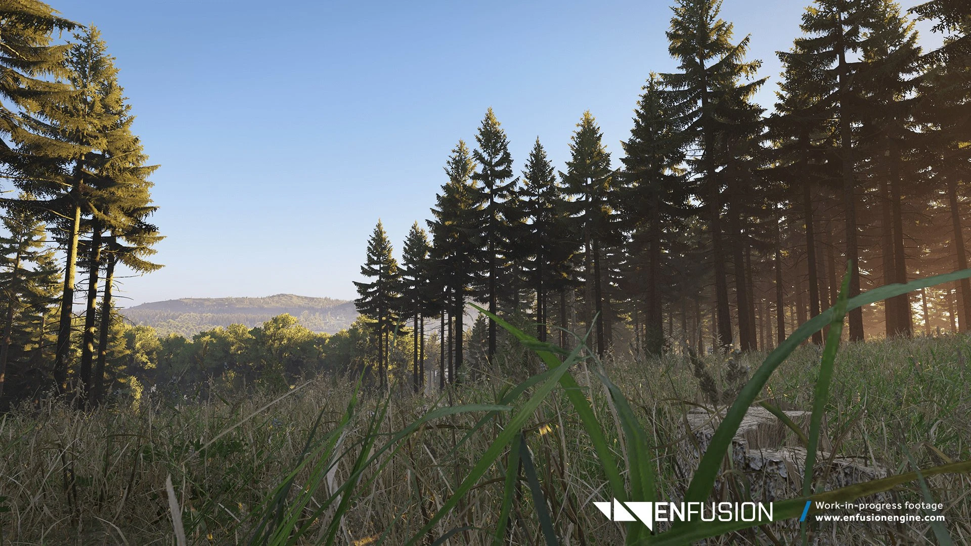 Enfusion_05