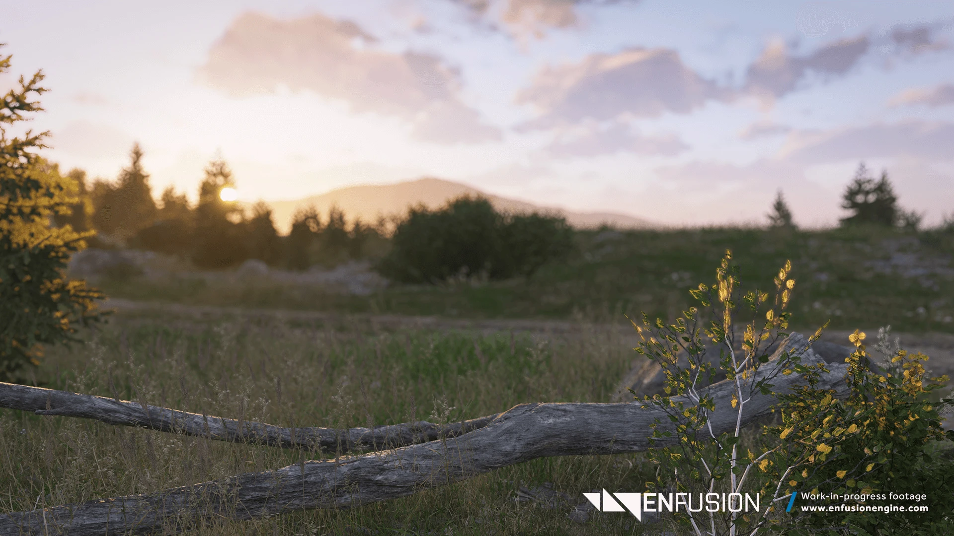 Enfusion_07