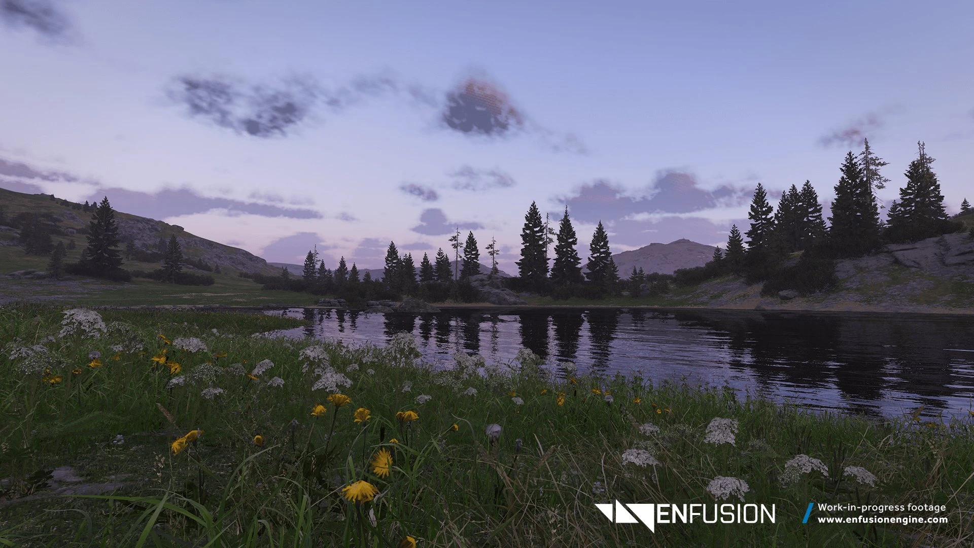 Enfusion_08