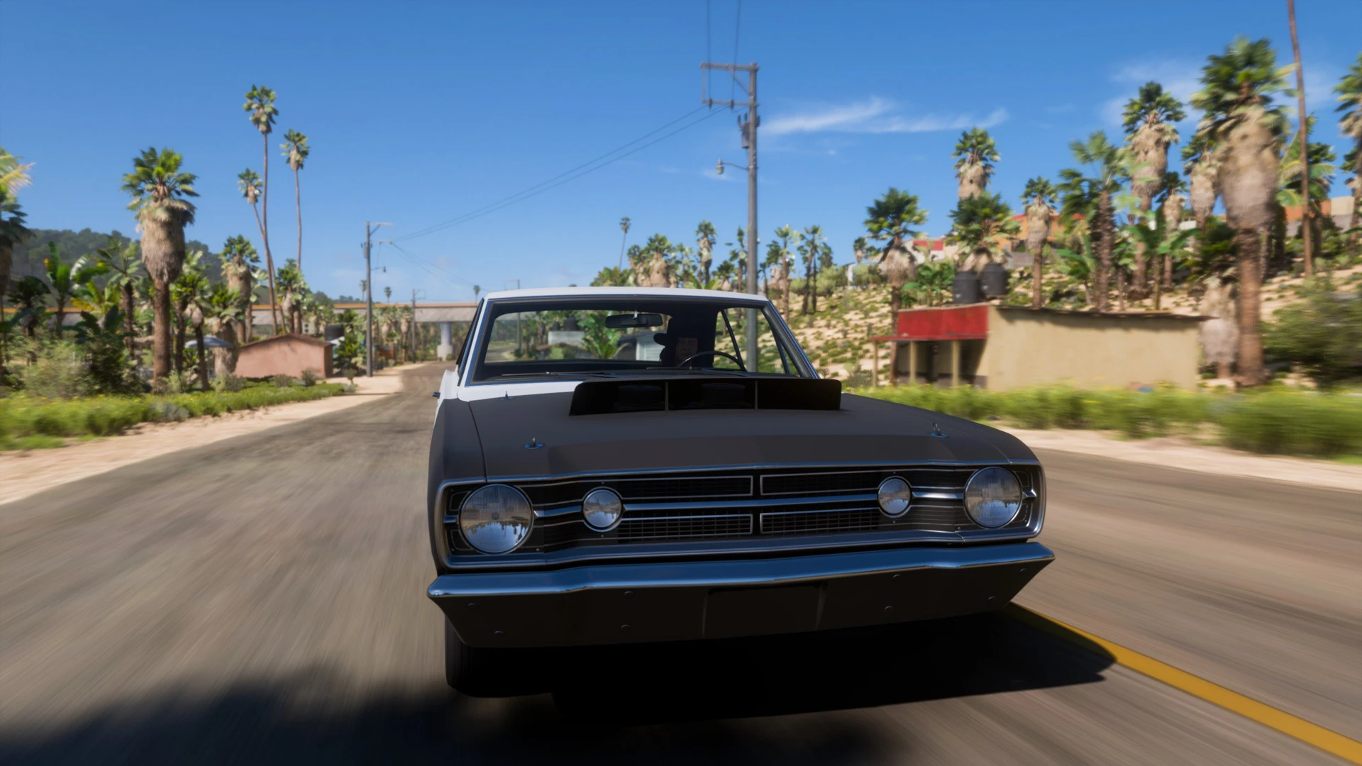 Forza_Horizon_5_55