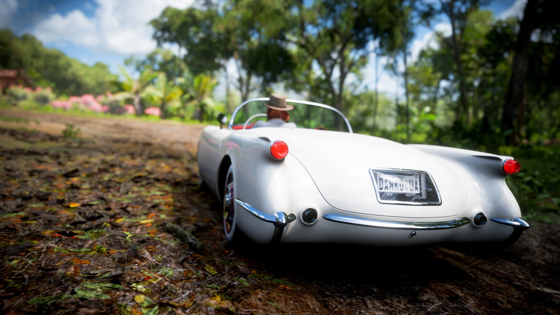 Forza_Horizon_5_65
