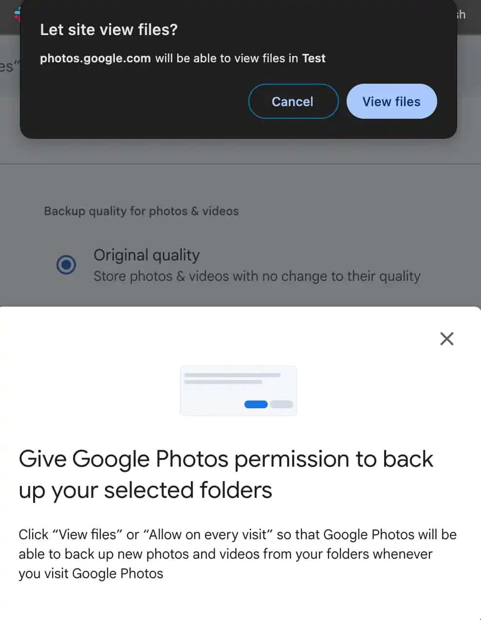 Google Photos 3