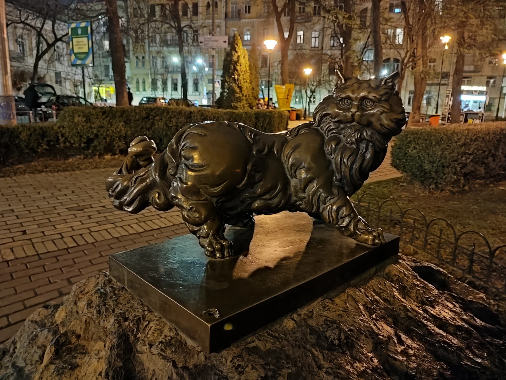 IMG_20211121_204419