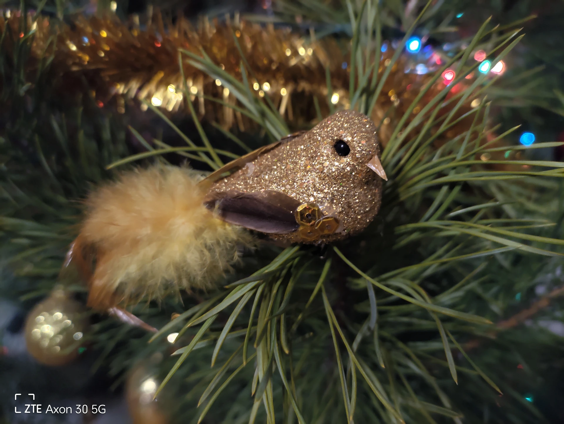 IMG_20211231_224109