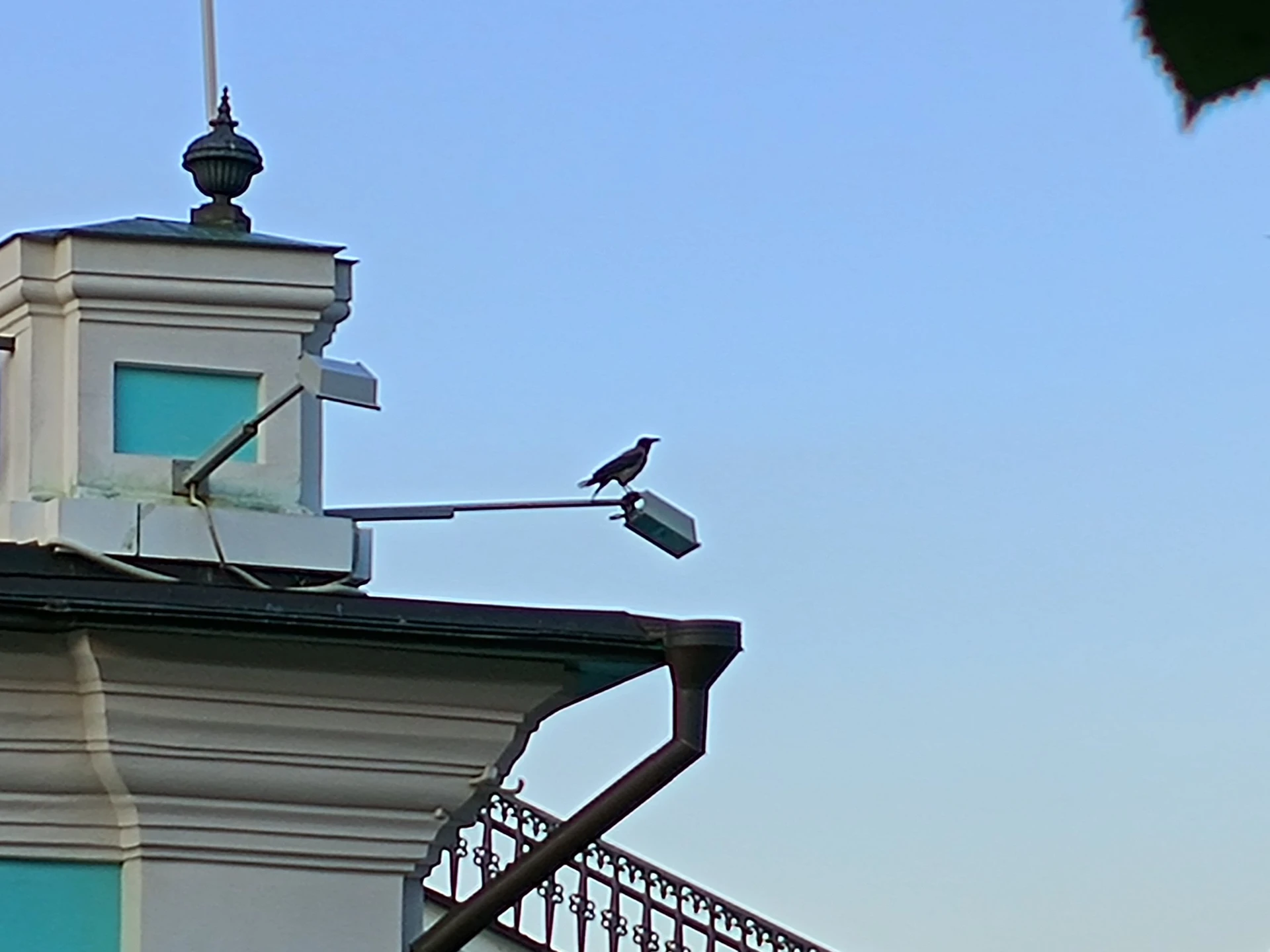 IMG_20230716_200509078