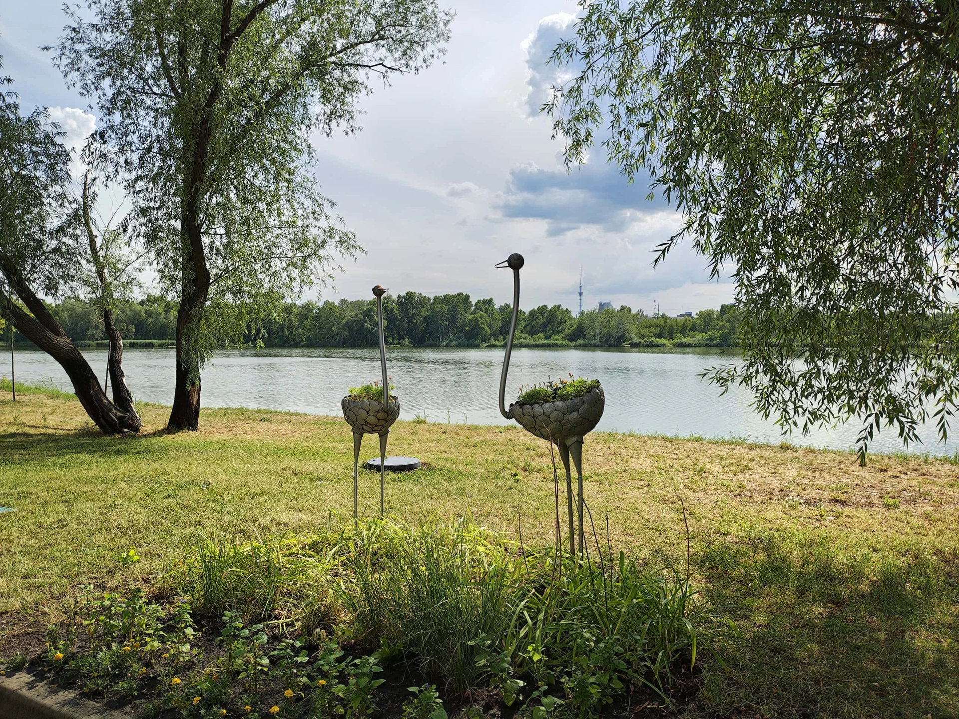 IMG_20240726_162117968_HDR
