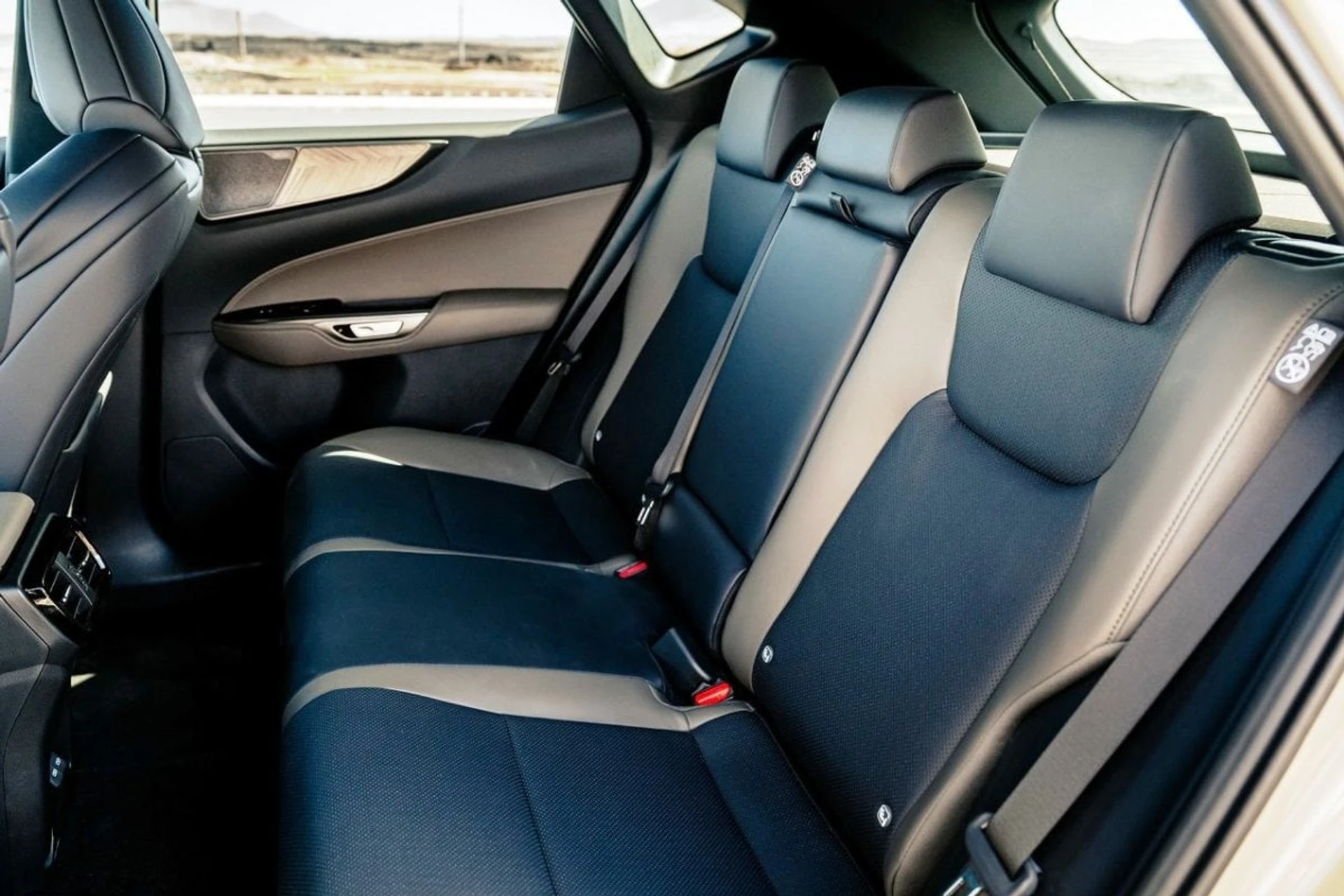 Lexus NX Overtrail inside rear