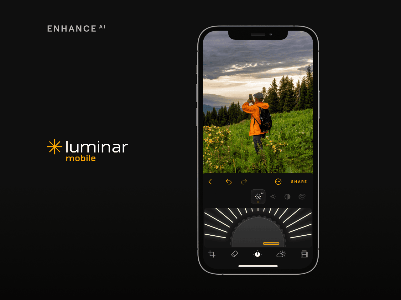 Luminar Mobile 3