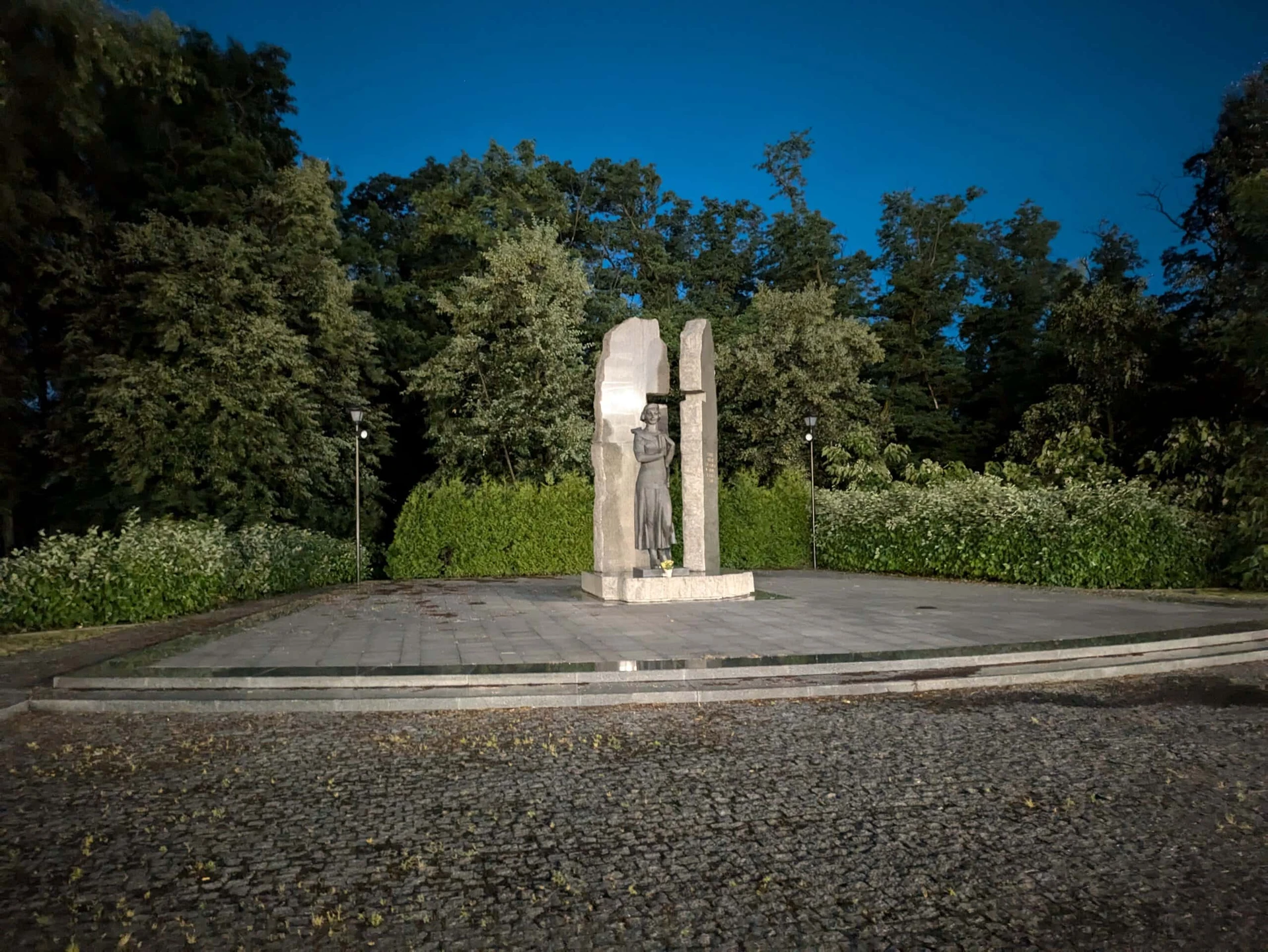 PXL_20240612_192416276