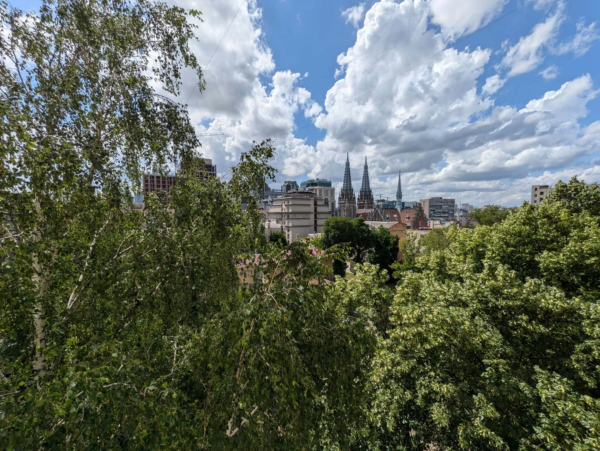 PXL_20240611_115345267