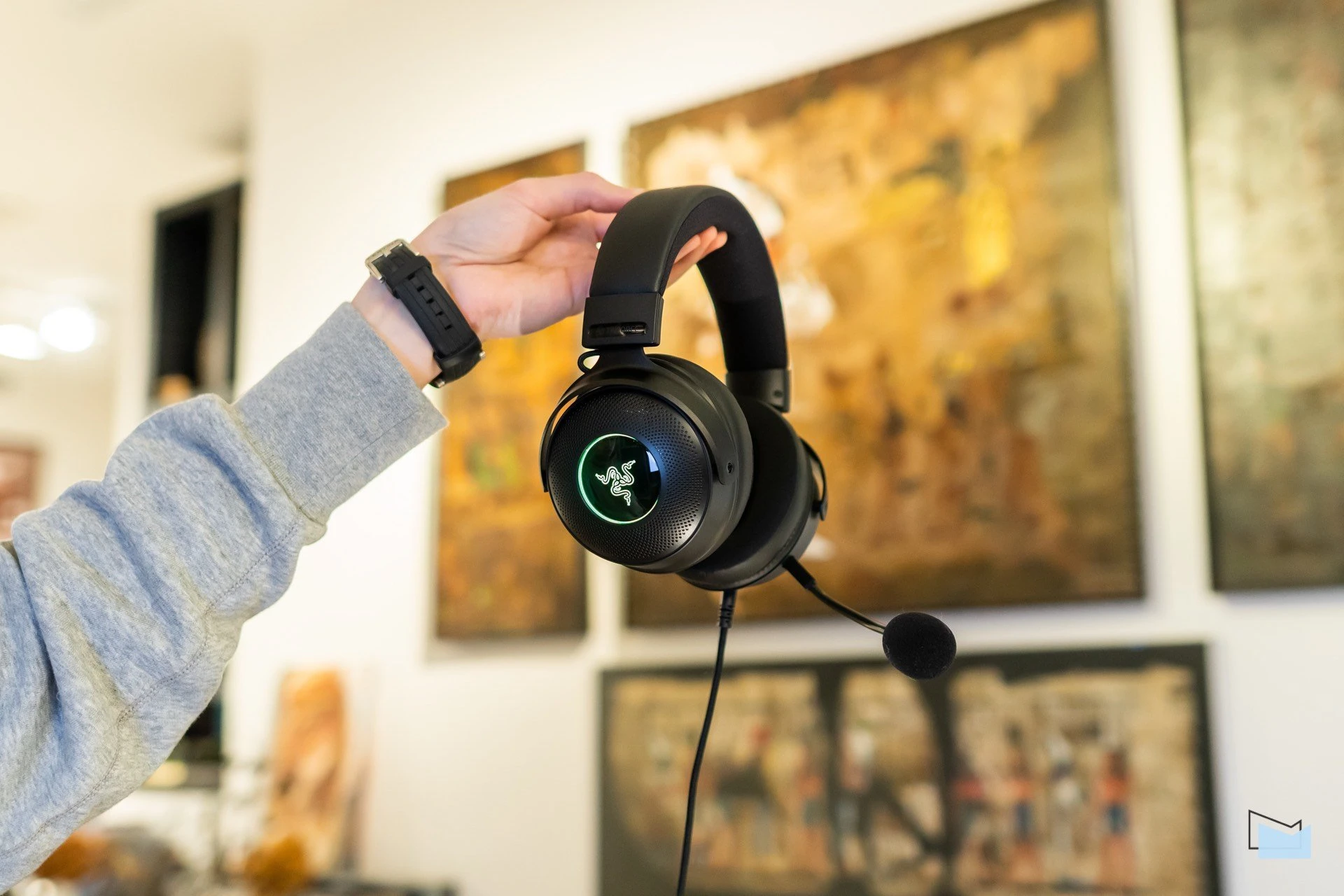 Razer Kraken V3 (14 of 23)
