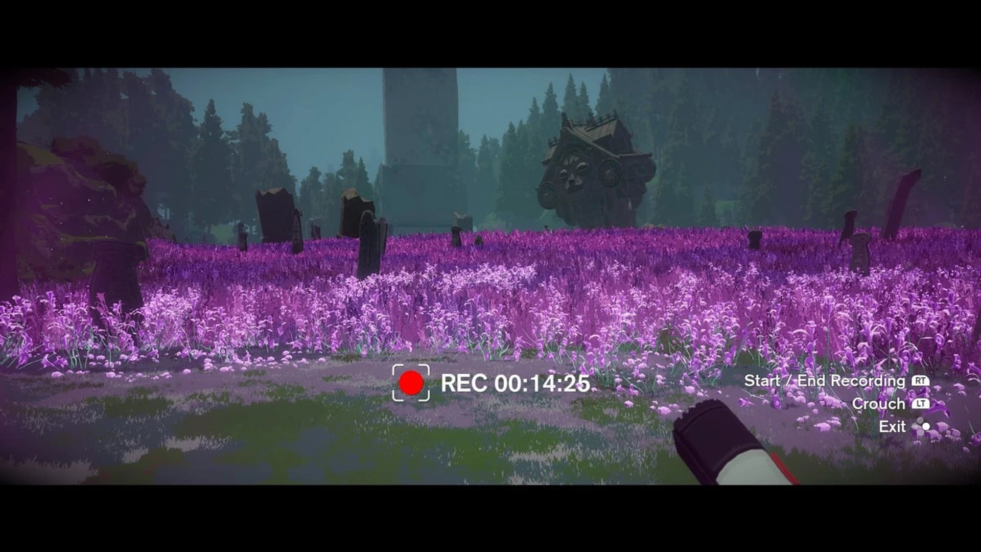 SEASON_r25