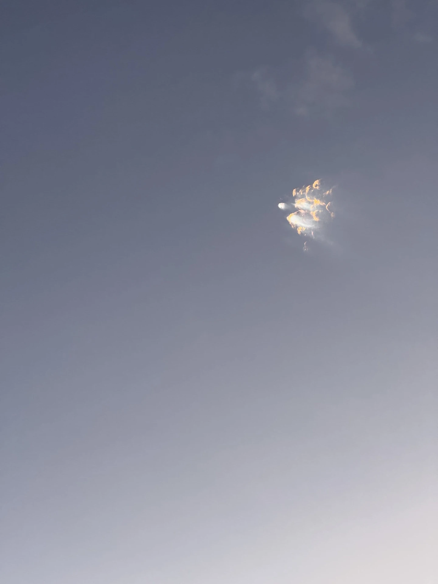 Space X