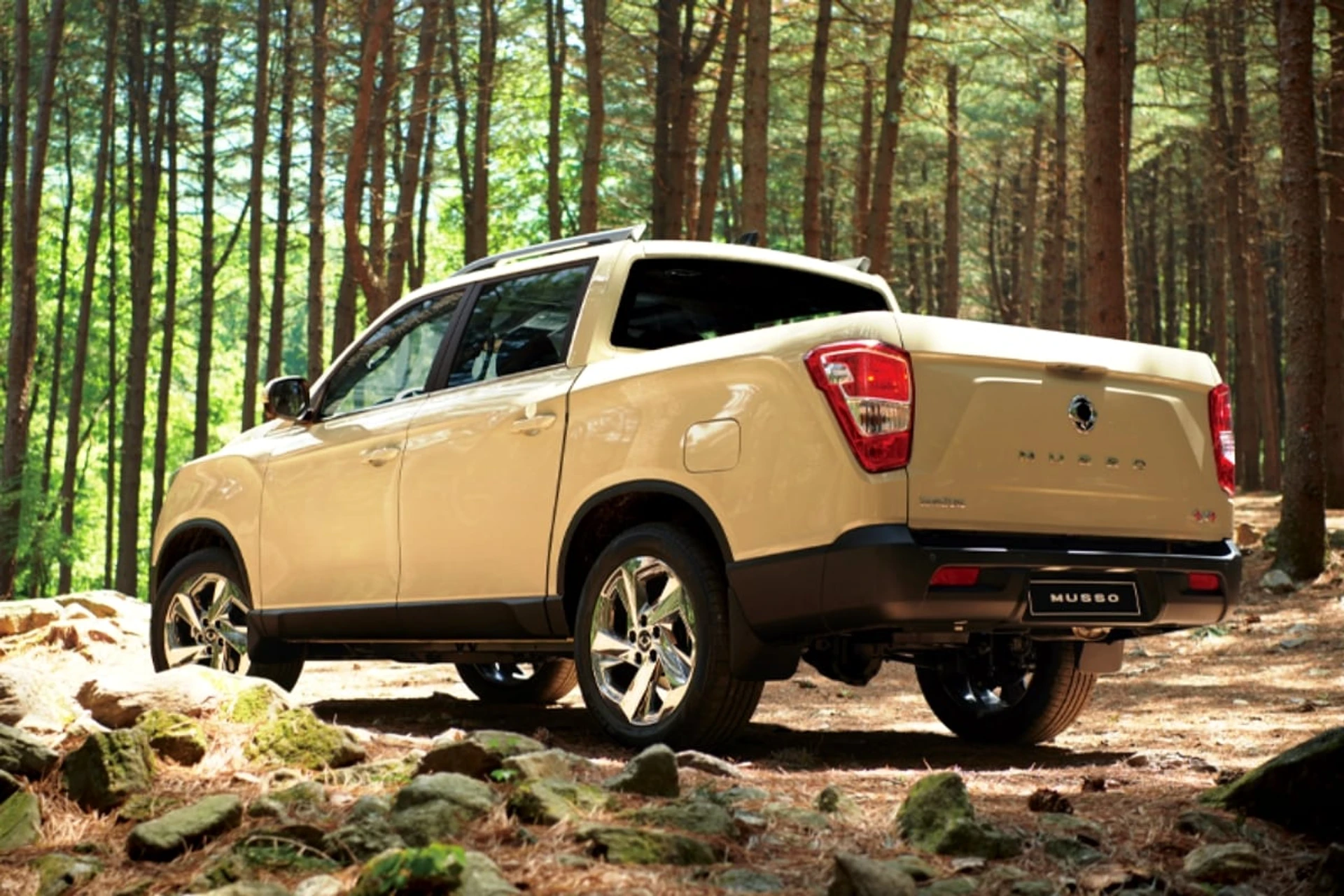 SsangYong Musso rear