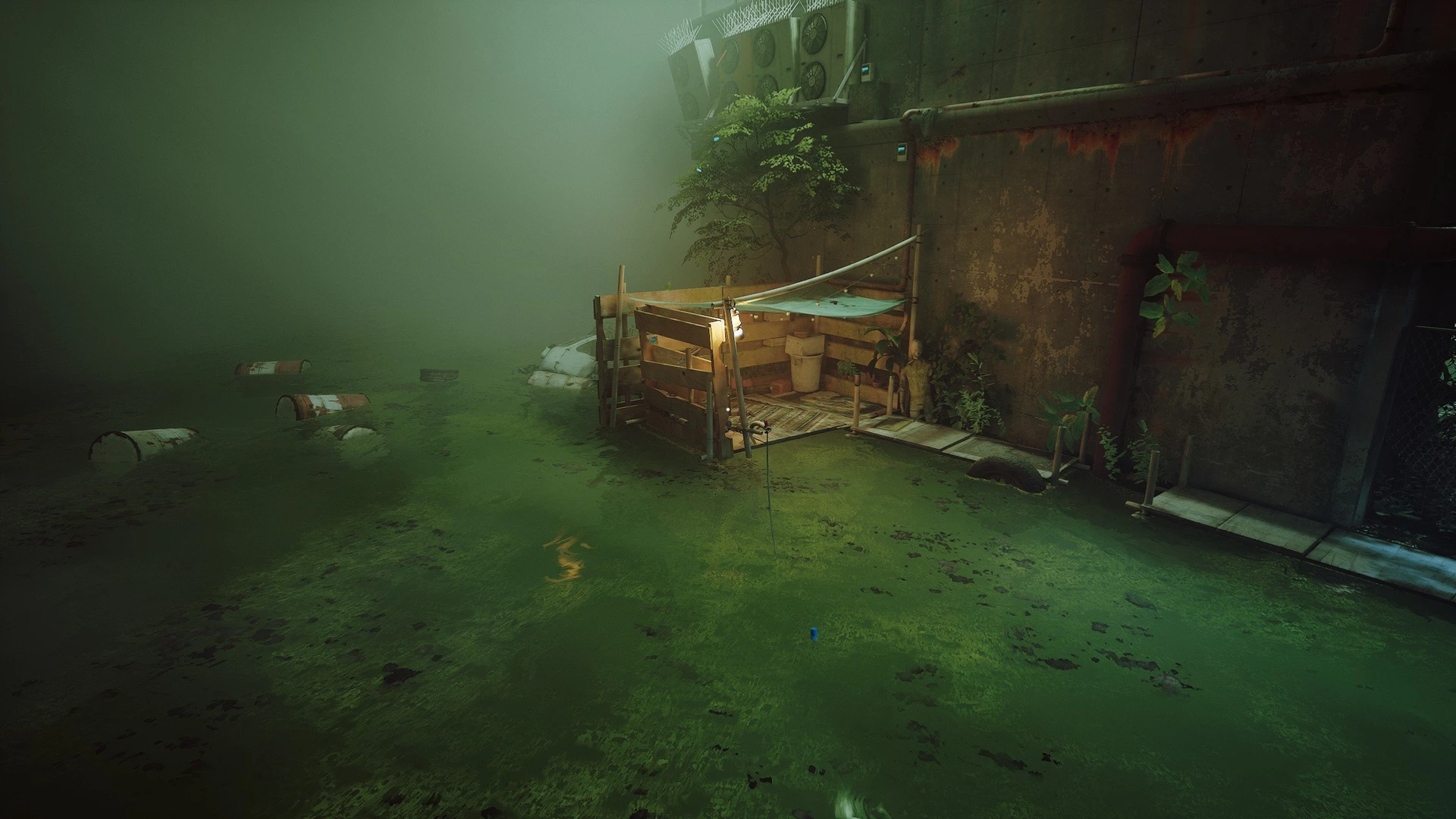 Stray_39