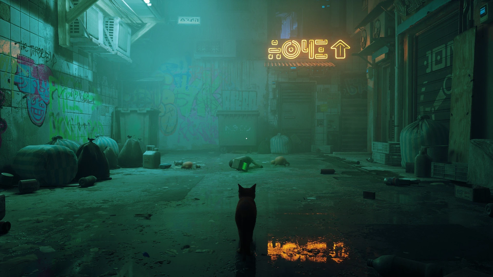 Stray_08