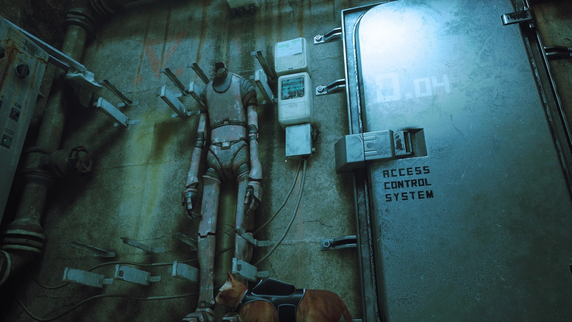 Stray_48