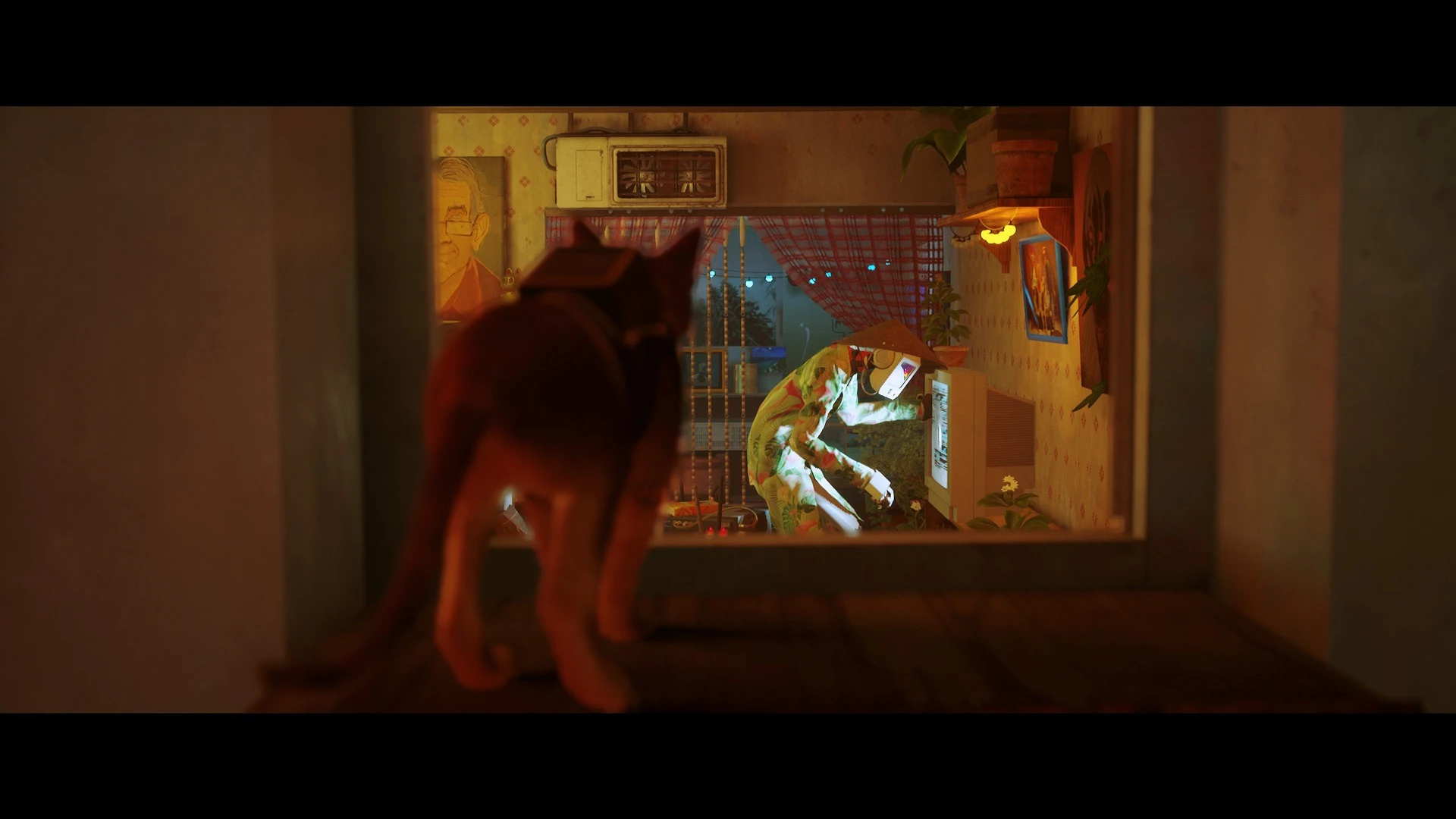 Stray_24