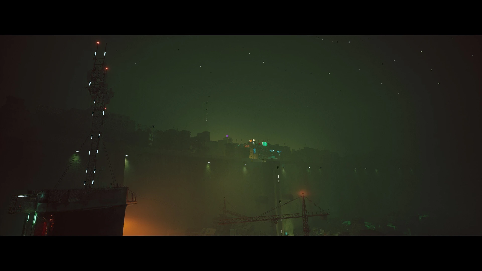 Stray_34