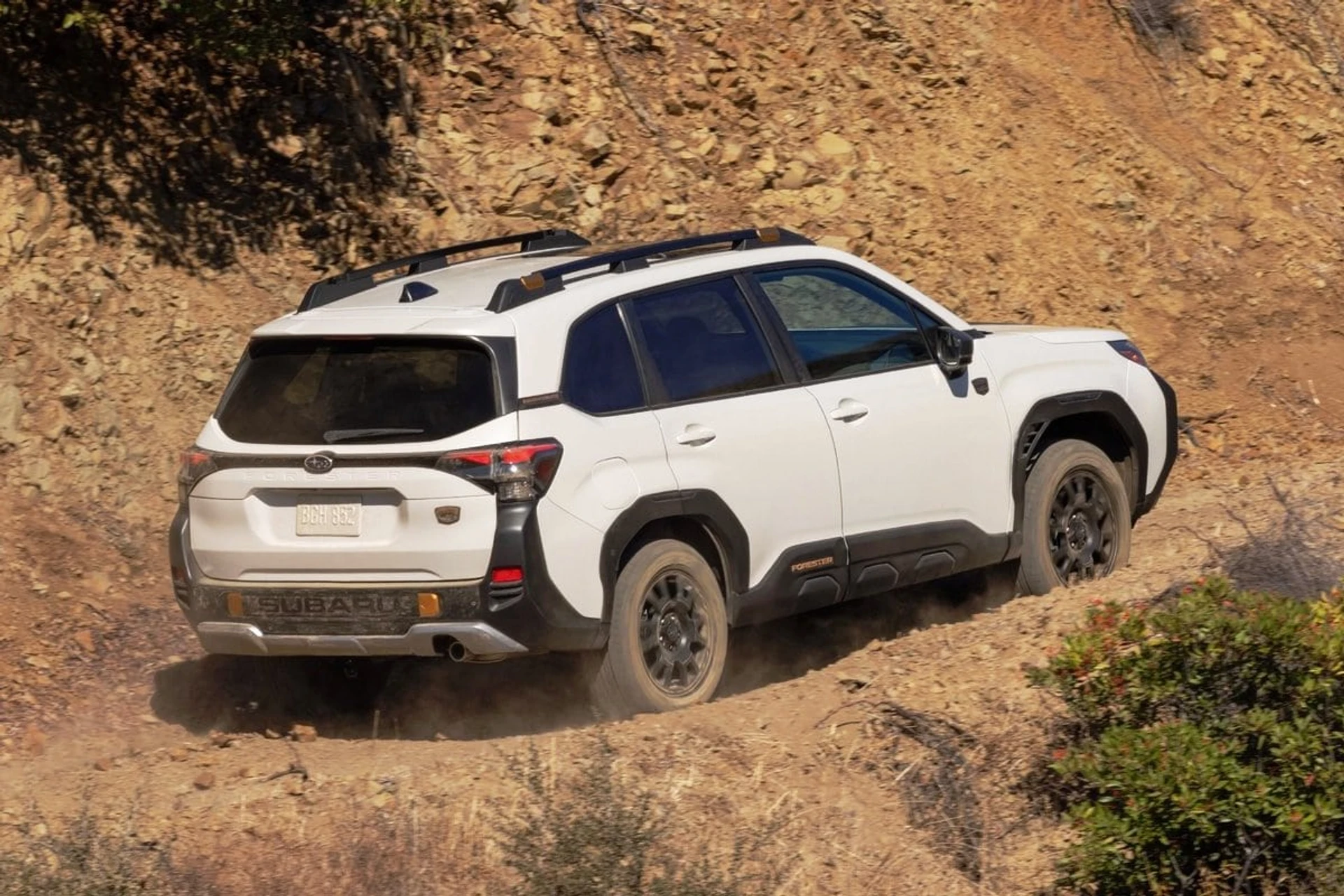 Subaru Forester Wilderness rear