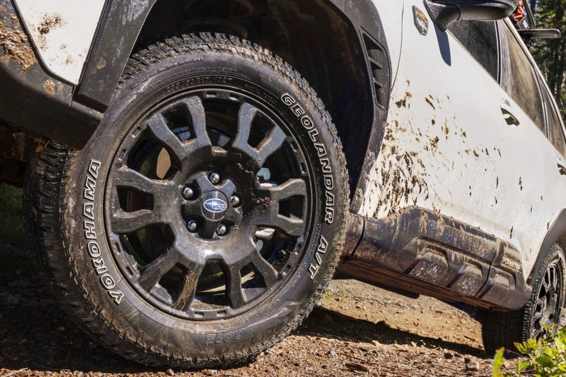 Subaru Forester Wilderness wheels