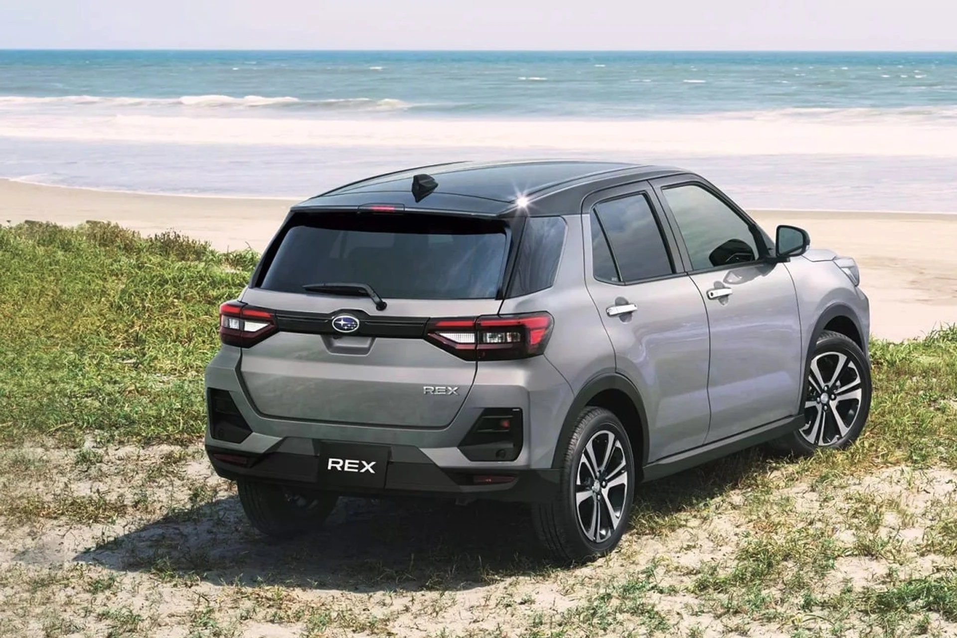 Subaru Rex rear