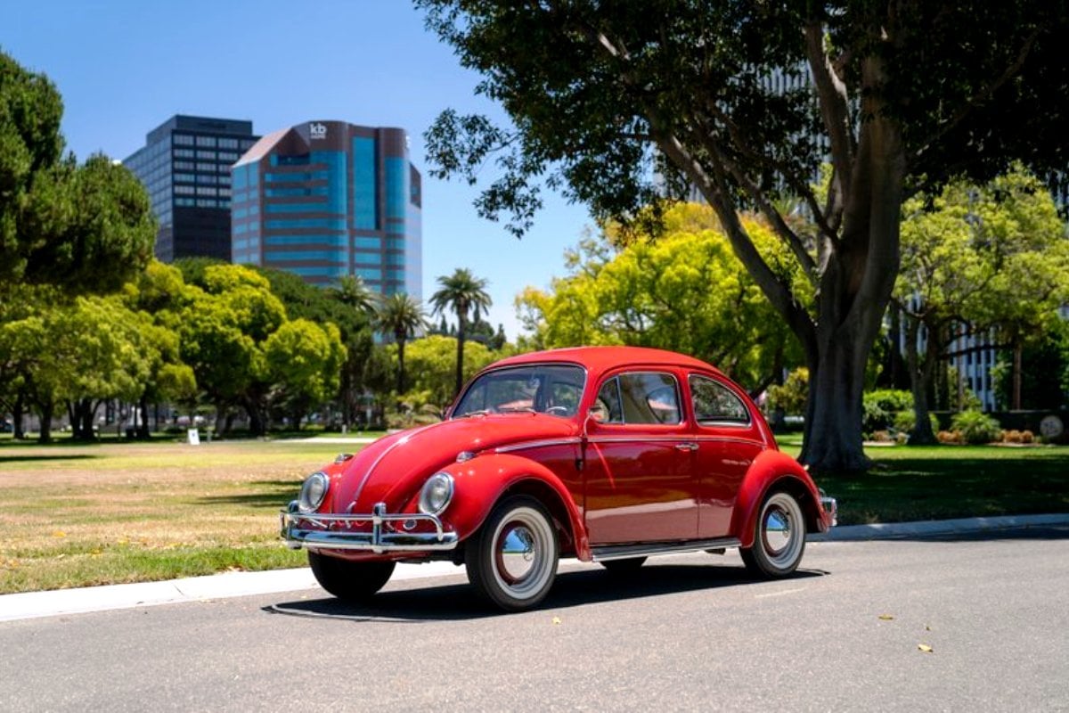 Volkswagen Beetle 3