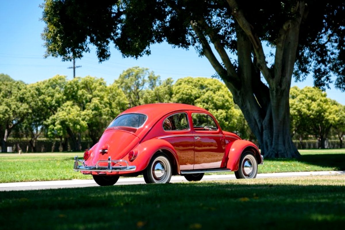 Volkswagen Beetle 4