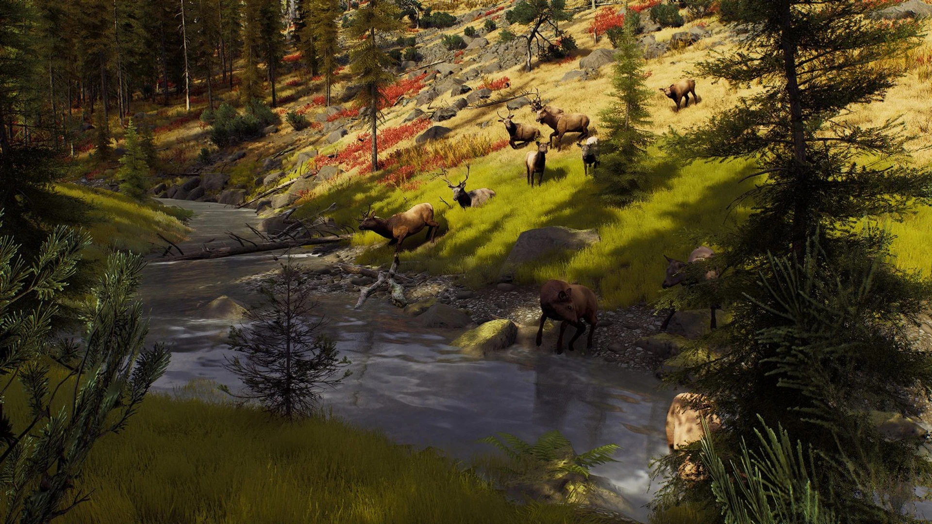 Way_of_the_Hunter_79