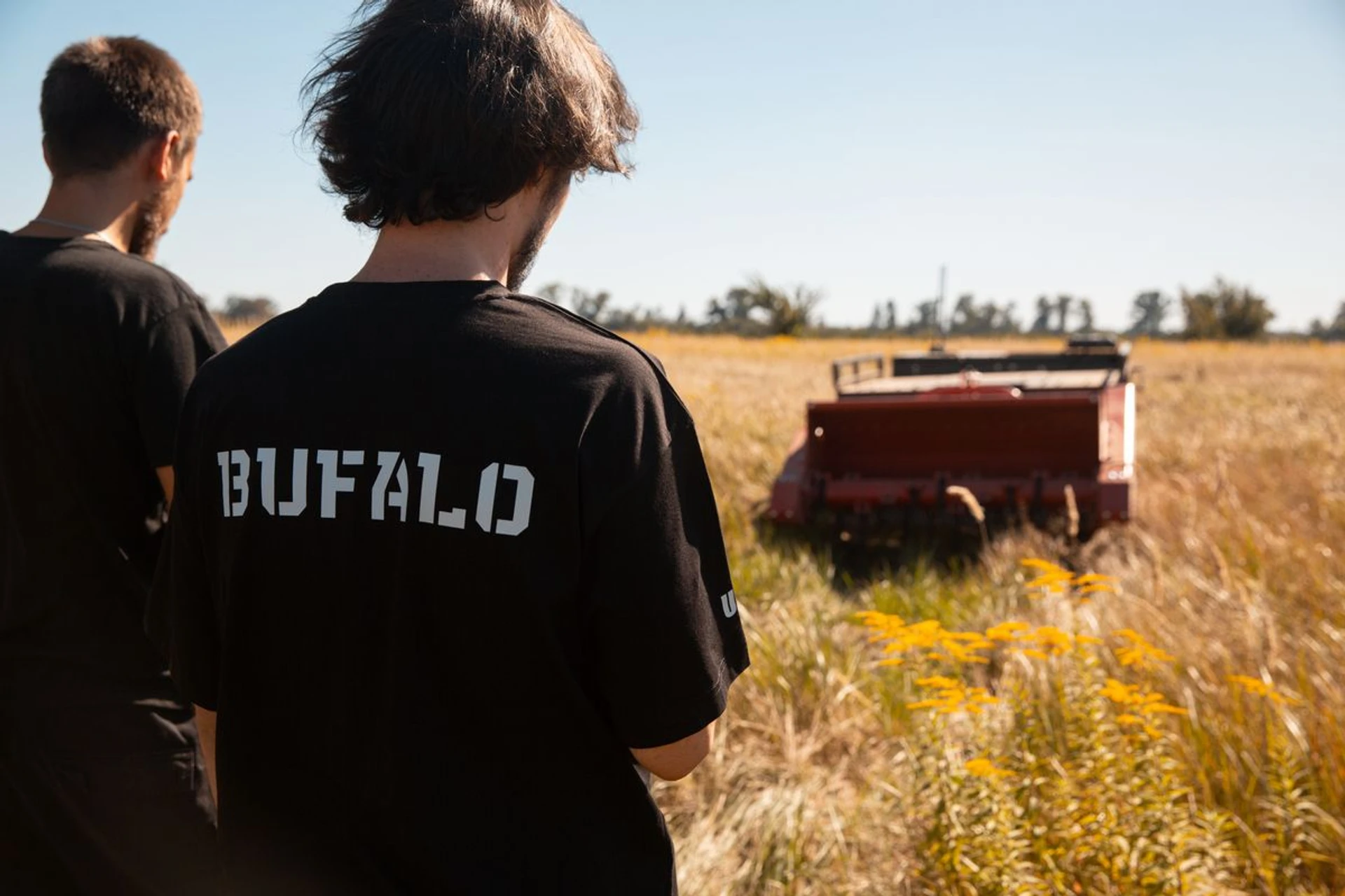 Buffalo