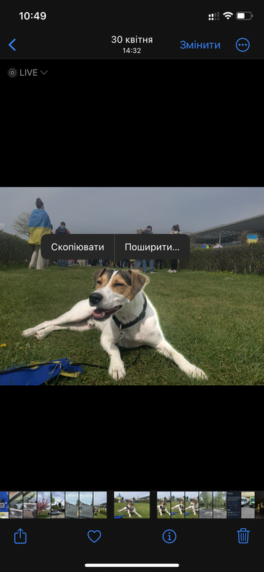 iOS-16-19